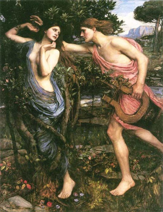 Apollo's love to Daphne