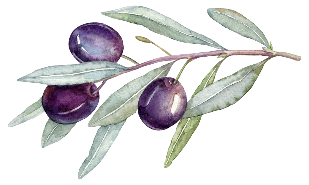 olive brunch